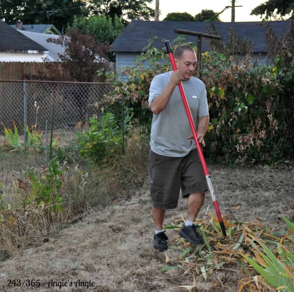 Catch the Moment 365 - Day 243 - Progress in the Yard