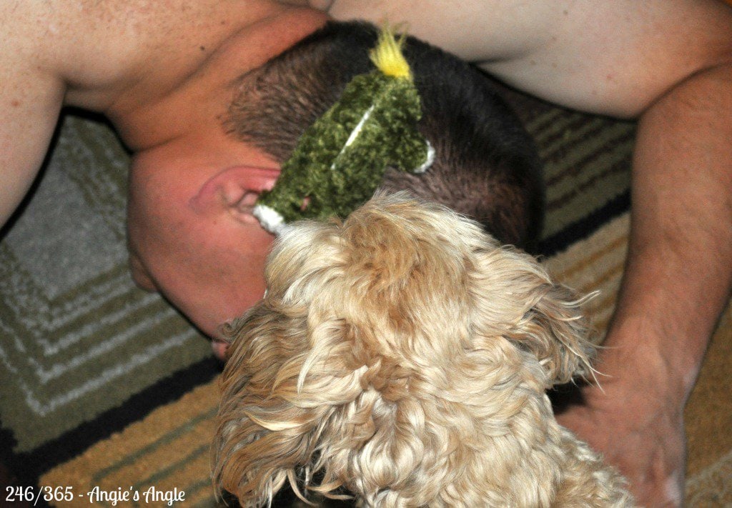 Catch the Moment 365 - Day 246 - Roxy & Daddy Playtime