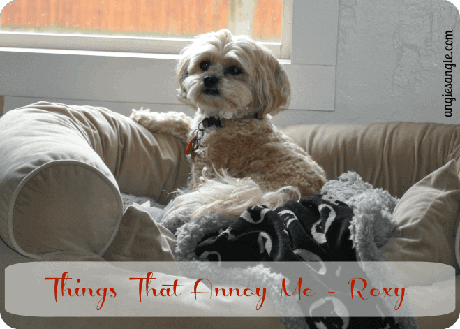 3 Things That Annoy Me – Roxy