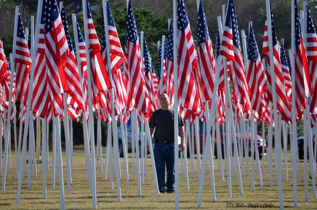 Catch the Moment 365 - Day 271 - Jason in Flags