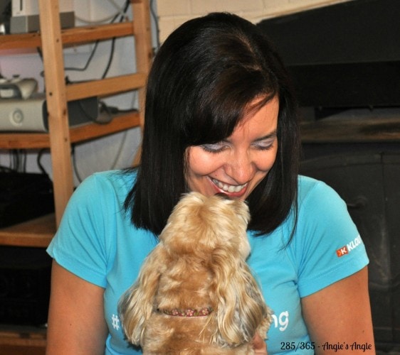 Catch the Moment 365 - Day 285 - Roxy in my Face