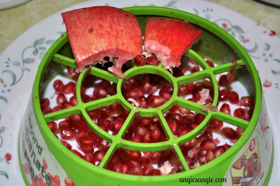 Catch the Moment 365 - Day 307 - pomegranate Tool