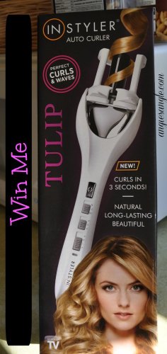 InStyler Giveaway (1)