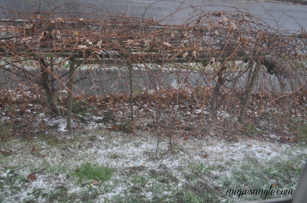 Catch the Moment 365 - Day 333 - Hail that looked like snow