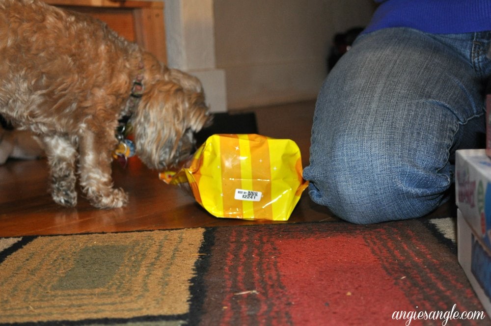 Catch the Moment 365 - Day 338 - Roxy wants a Ring Pop