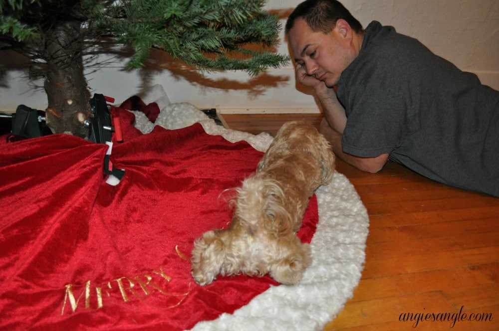 Catch the Moment 365 - Day 341 - Roxy helping Daddy