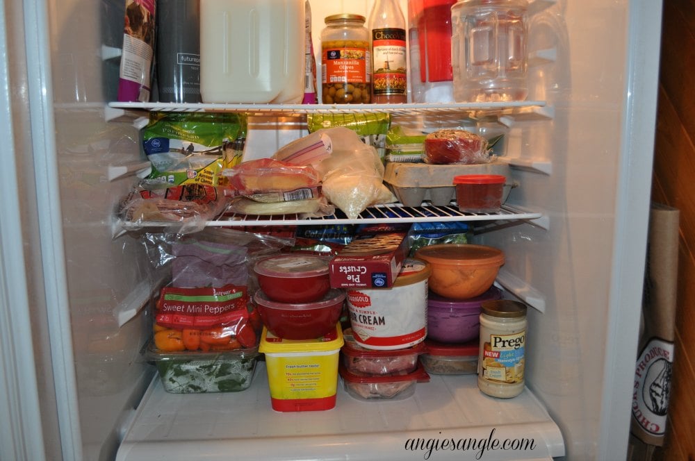 Catch the Moment 365 - Day 11 - Fridge after groceries