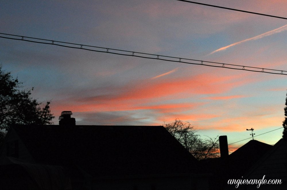 Catch the Moment 365 - Day 14 - Pink Sky