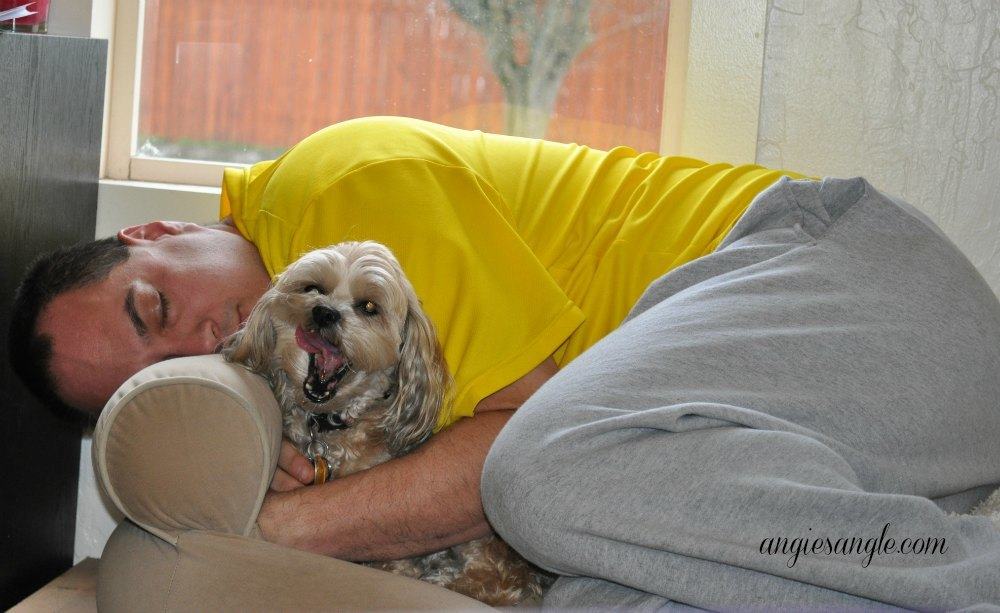 Catch the Moment 365 - Day 3 - Daddy cuddles in Roxys bed