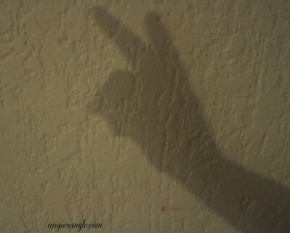 Project 52 – Week 4 – Shadows