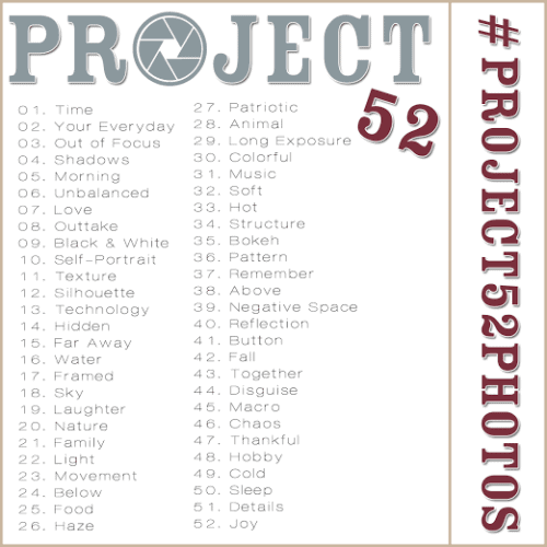 Project 52 for 2015 - a photo each week