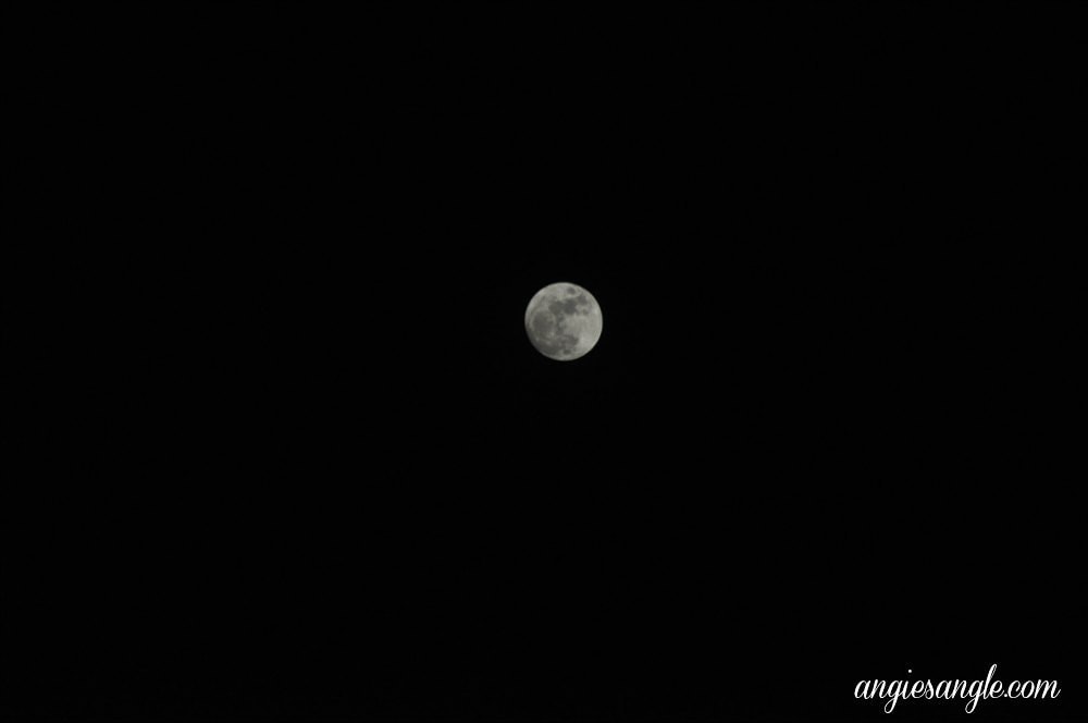 Catch the Moment 365 - Day 33 - Moon Shots (1)