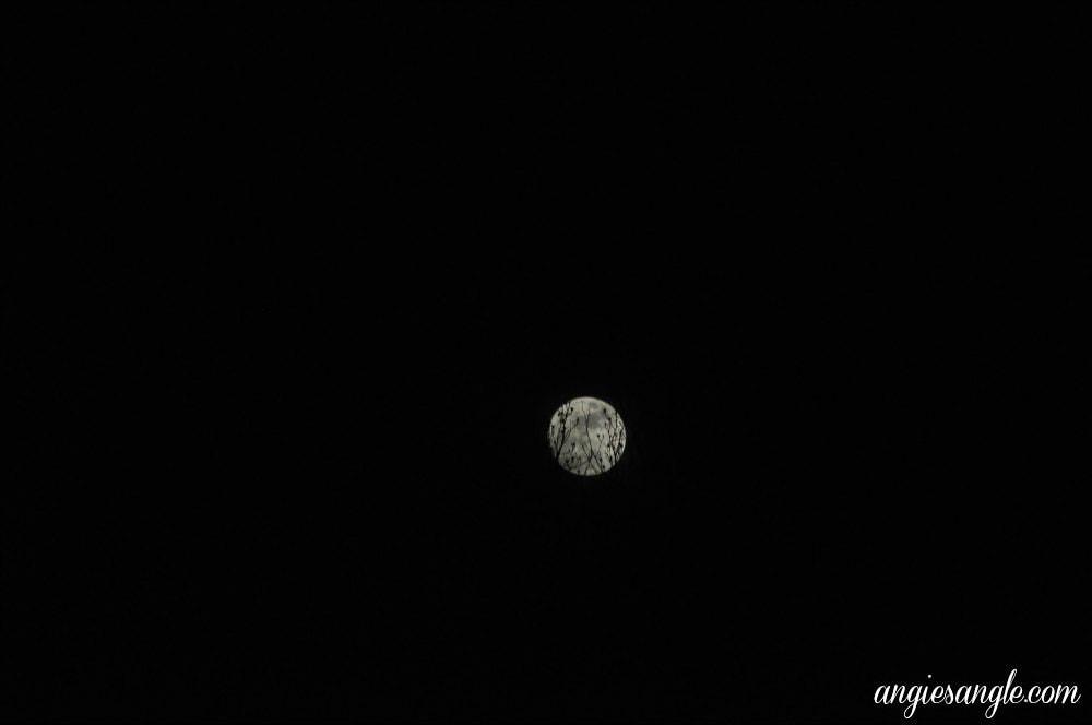 Catch the Moment 365 - Day 33 - Moon Shots (2)