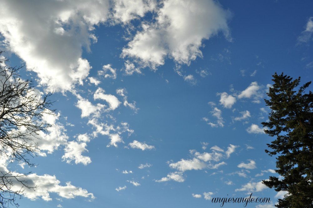 Catch the Moment 365 - Day 52 - Blue Sky