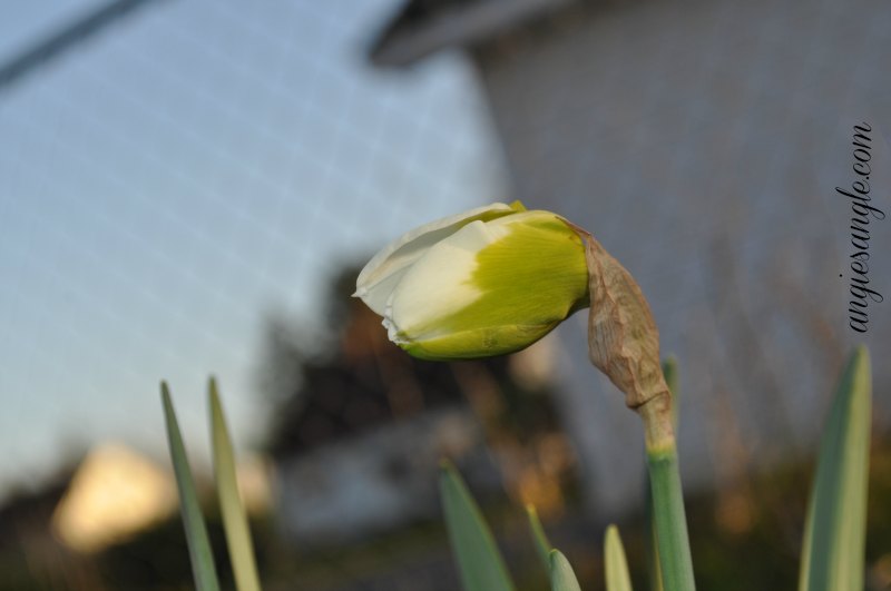 Catch the Moment 365 - Day 66 - Signs of Spring