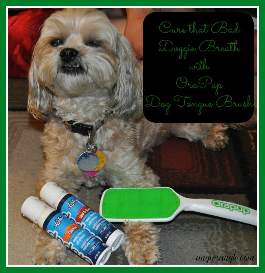 Orapup Dog Tongue Brush Starter Kit with Roxy