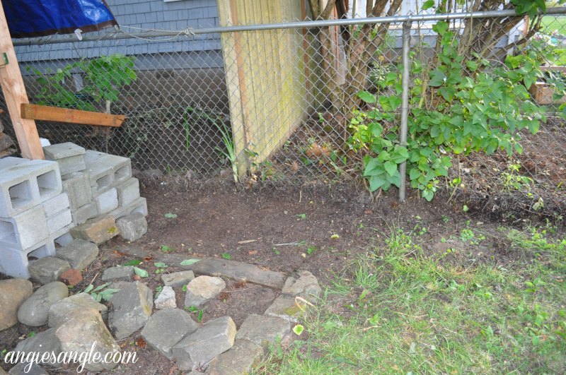 Catch the Moment 365 - Day 149 - Side Yard Clearing