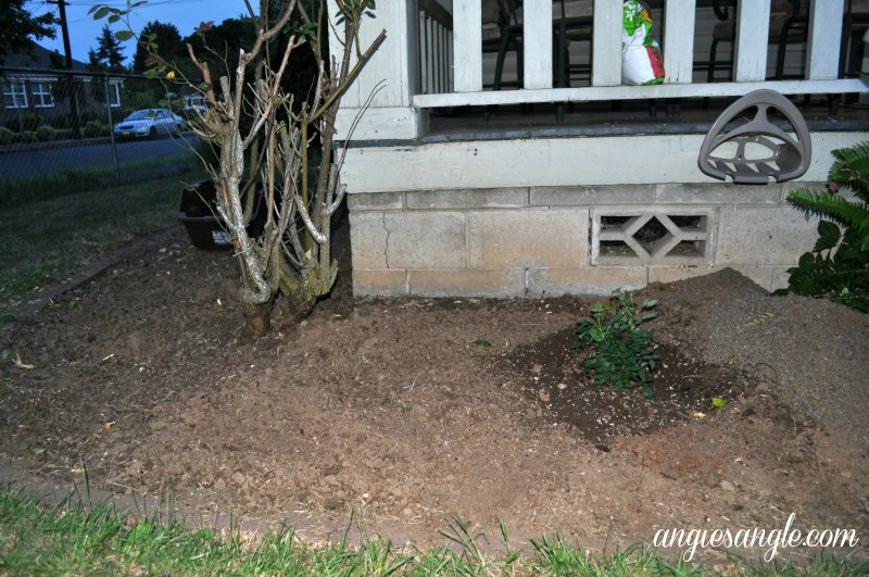 Catch the Moment 365 - Day 151 - Front Flower Bed