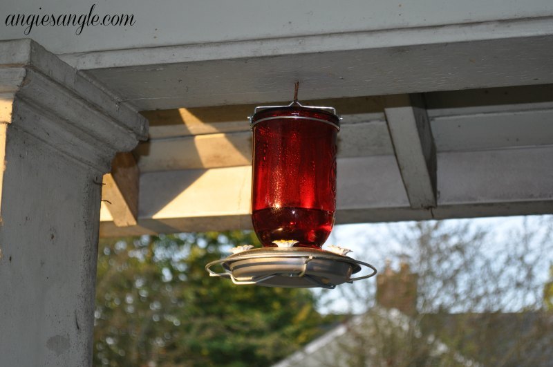 Catch the Moment 365 - Day 187 - Hummingbird Feeder