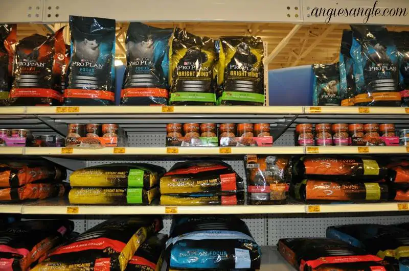 Switching Your Dog To A New Food - Bright Minds on Shelf