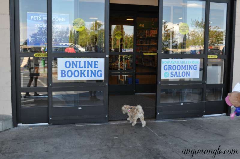 Switching Your Dog To A New Food - Heading Into Petsmart