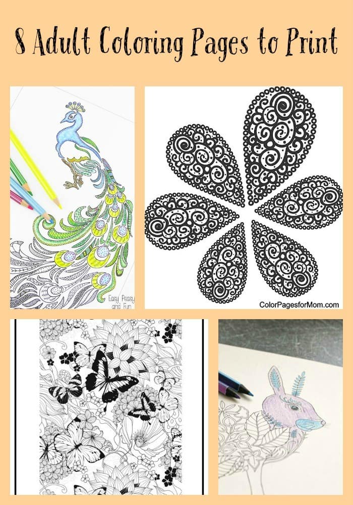 Collection Of Eight Coloring Pages To Print