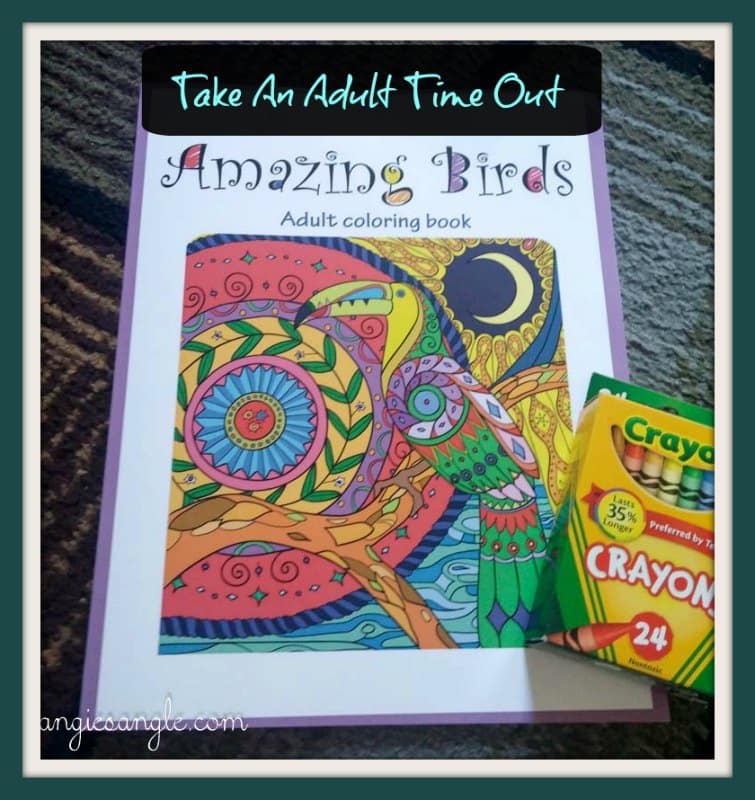 Amazing Birds:  Adult Coloring Book