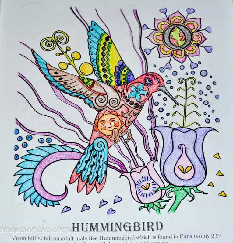 Amazing Birds: Adult Coloring Book [Book]