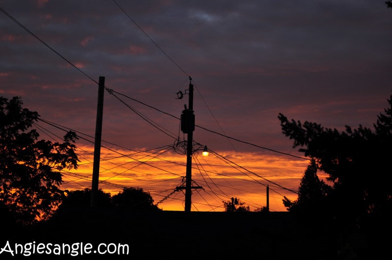 Catch the Moment 365 - Day 292 - Sunset