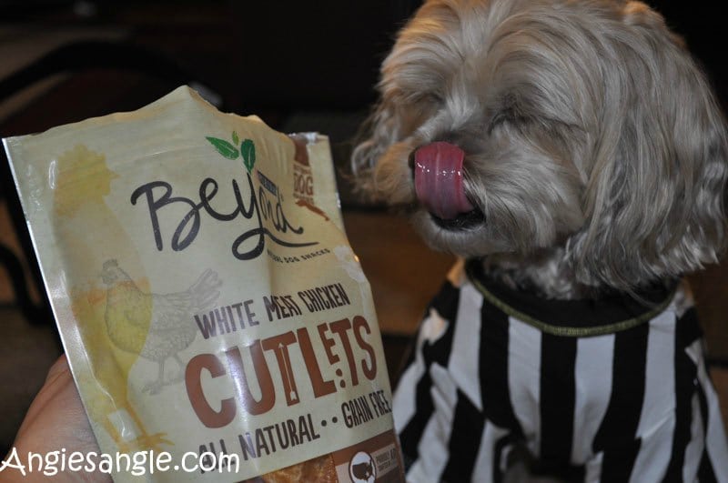 How to Fill a Halloween Bag For Your Dog - Lip Smacking Good Purina Beyond