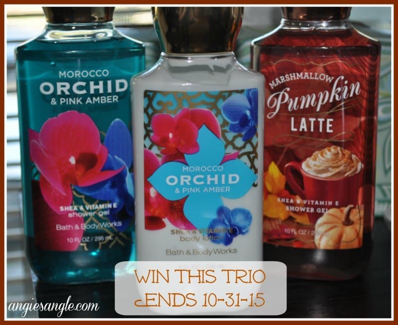 Trick Or Treat Giveaway Hop – Win Bath and Body Works ends 10/31/15