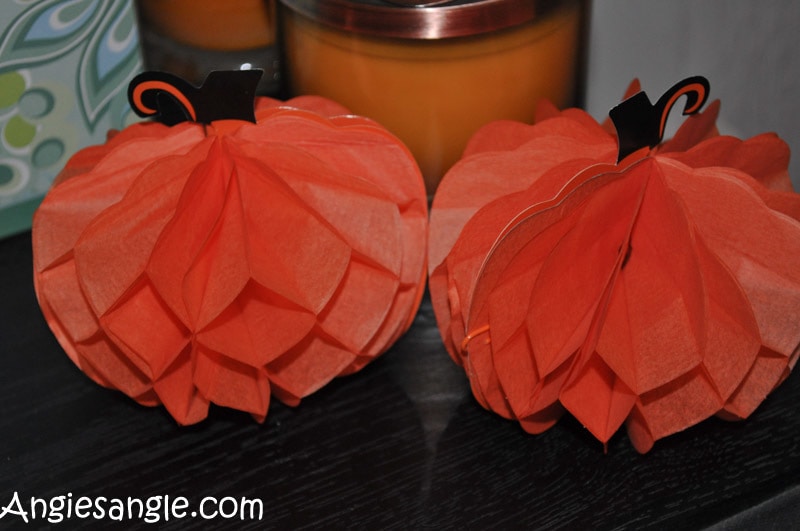 Catch the Moment 365 - Day 303 - My Mini Pumpkins