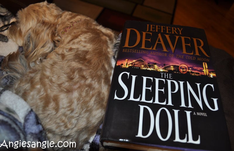 Catch the Moment 365 - Day 314 - Current Book with Roxy