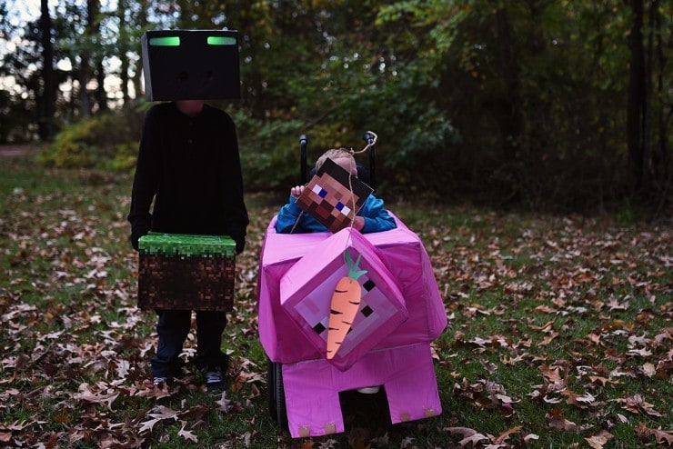 Project 52 Minecraft-Costumes - Favorite