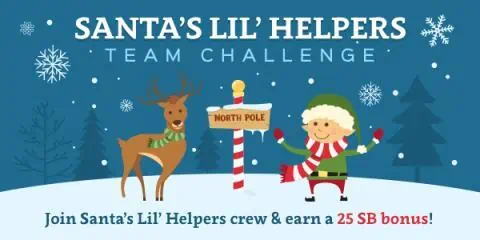 Santa’s Lil Helpers Team Challenge