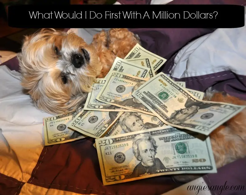 What Would I Do First With A Million Dollars?