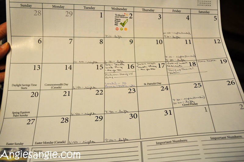 Catch the Moment 366 Week 9 - Day 63 - Full Calendar
