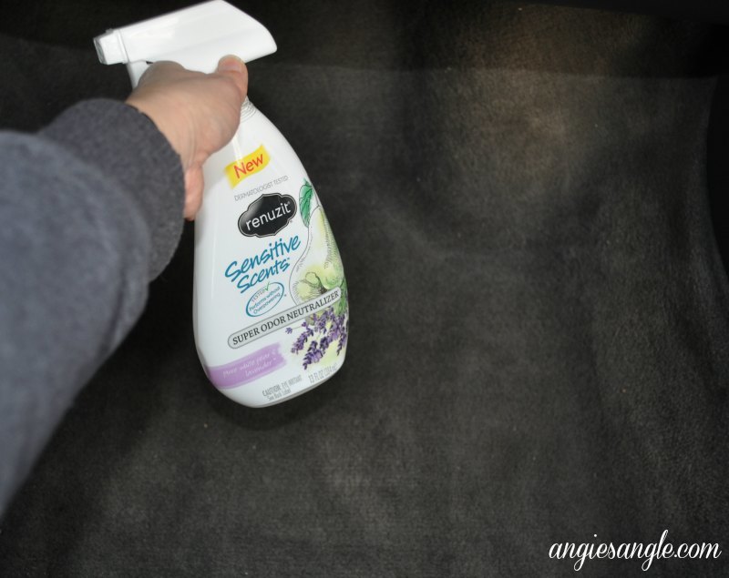 Spring Clean Your Car - Spray Carpets with Renuzit