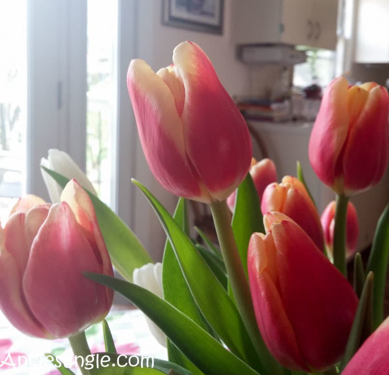 Catch the Moment 366 Week 13 - Day 87 - Tulips on Easter
