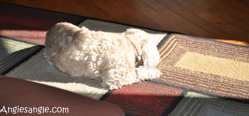 Catch the Moment 366 Week 13 - Day 89 - Sunspot Time