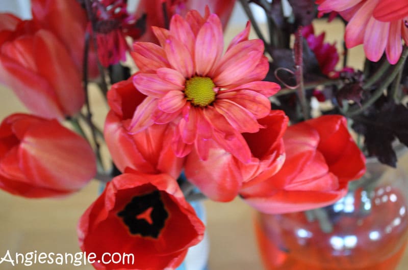 Catch the Moment 366 Week 13 - Day 90 - Bright Flowers for Home