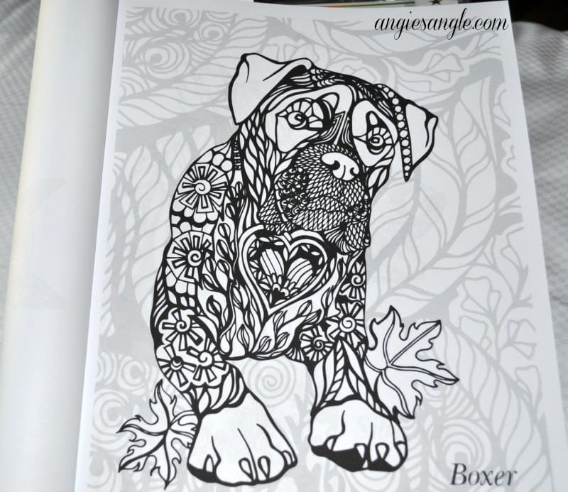 Dogs Art Coloring Book - Boxer