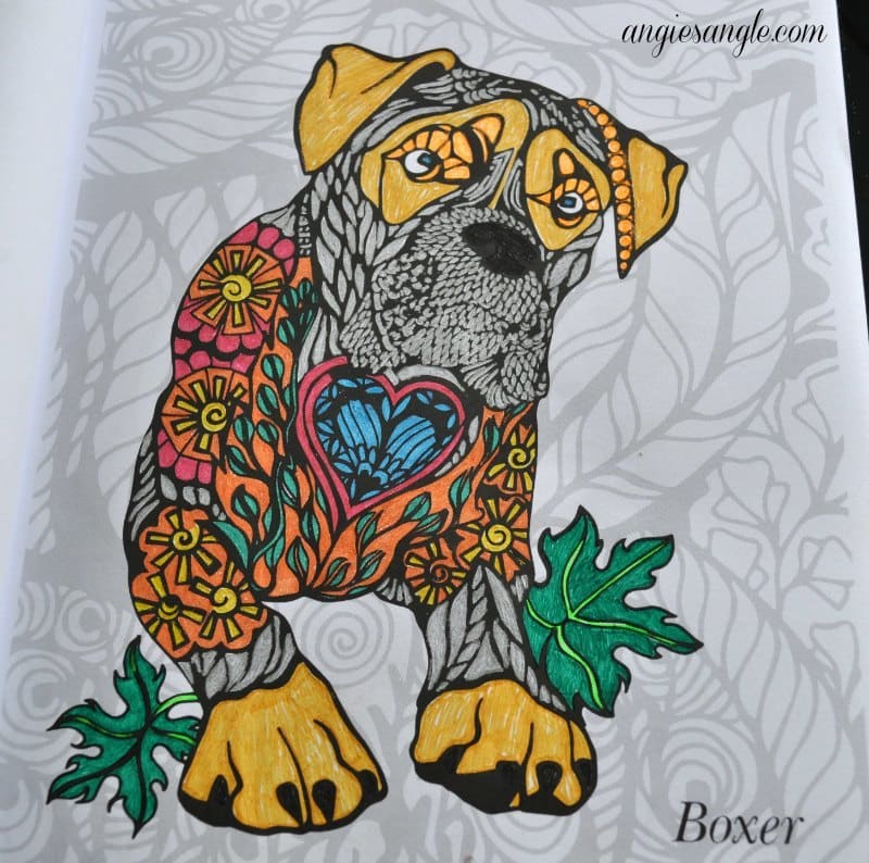 Dogs Art Coloring Book - Finished Boxer