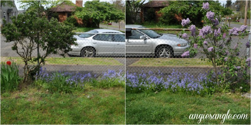 What The Front Outside Of Our House Looks Like Now - Front