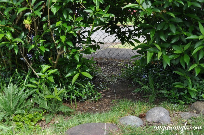 What The Front Outside Of Our House Looks Like Now - Well Worn Path