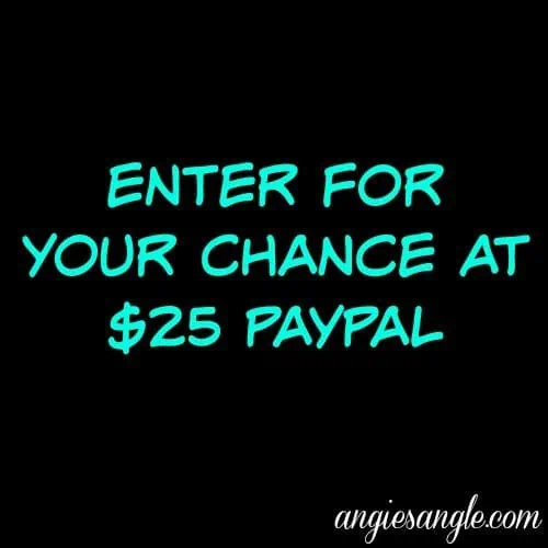 Summer Fun Giveaway Hop Win 25 Paypal Ends 628 Summerfun16 - 