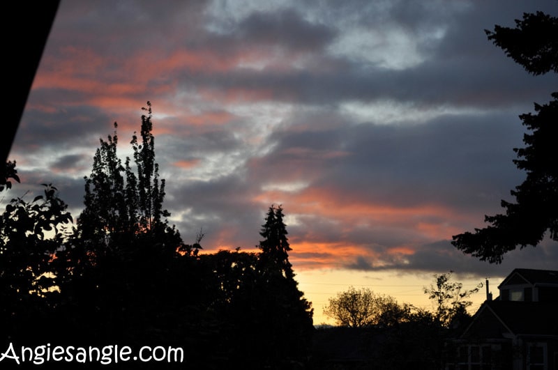 Catch the Moment 366 Week 18 - Day 120 - Sunset