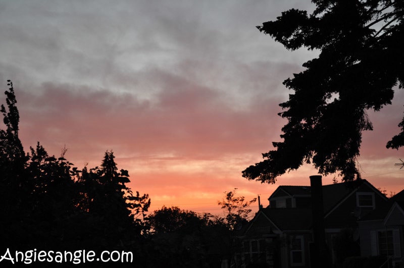 Catch the Moment 366 Week 19 - Day 128 - Another Sunset