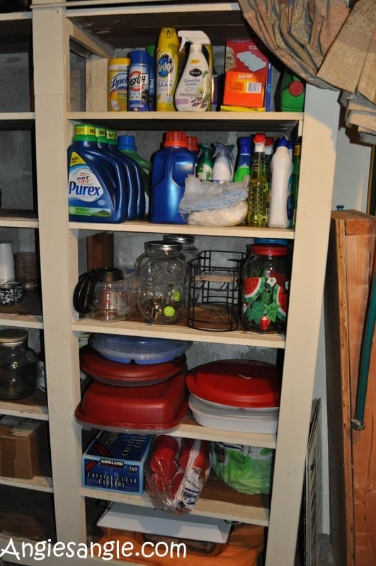 Catch the Moment 366 Week 19 -Day 130 - Clean Basement Shelf