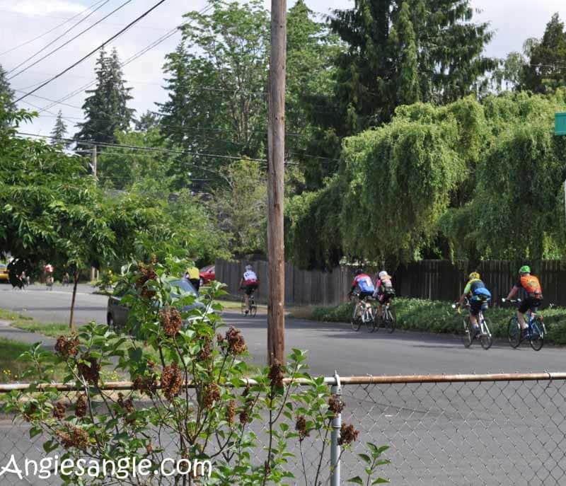 Catch the Moment 366 Week 23 - Day 160 - Bike Club